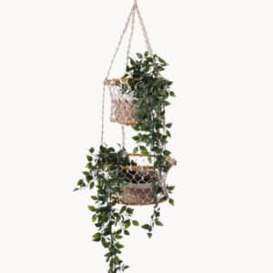 Jhuri Double Hanging Basket