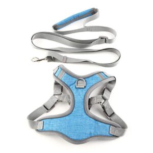 Vibrant Vest-Style Pet Leash For Cats And Dogs