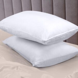 Waterproof Pillow Protectors Zippered (2 Pack, White) , Zippered Pillowcases, Bed Bug Proof Pillow Encasement Covers 20 x 30 Inches