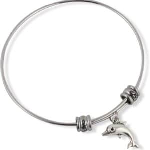 Emerald Park Jewelry Dolphin Fancy Charm Bangle